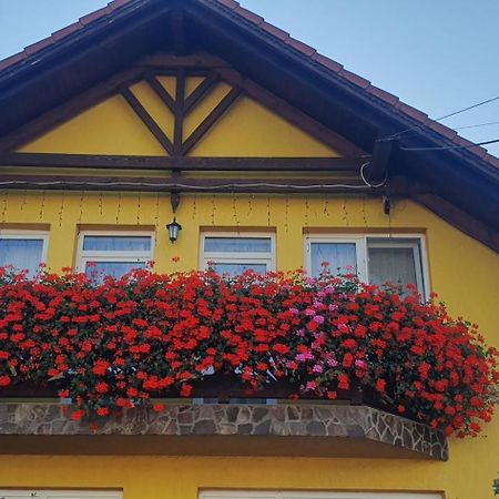 Hazanéző Panzió Panzió Korond Kültér fotó