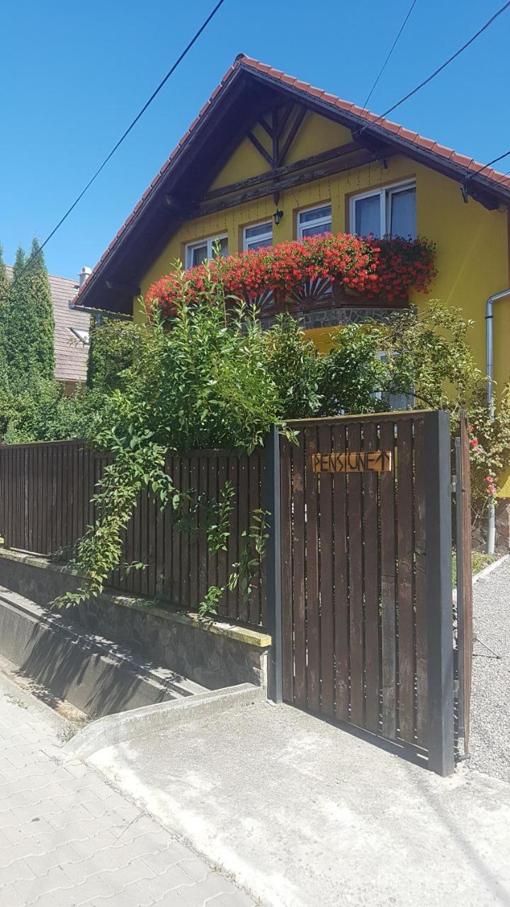 Hazanéző Panzió Panzió Korond Kültér fotó