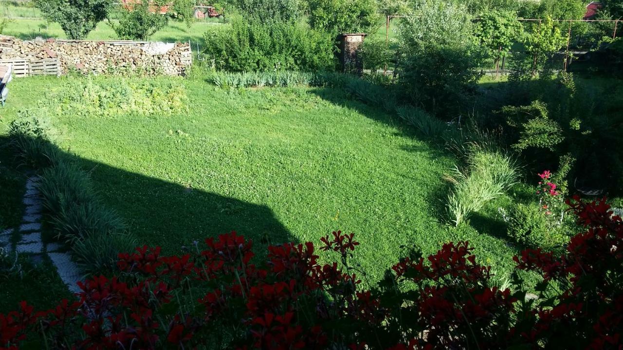Hazanéző Panzió Panzió Korond Kültér fotó